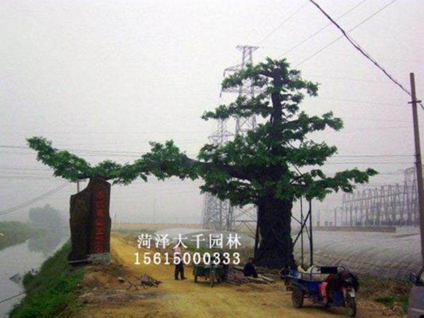 點擊查看詳細信息<br>標題：假樹 閱讀次數(shù)：1258