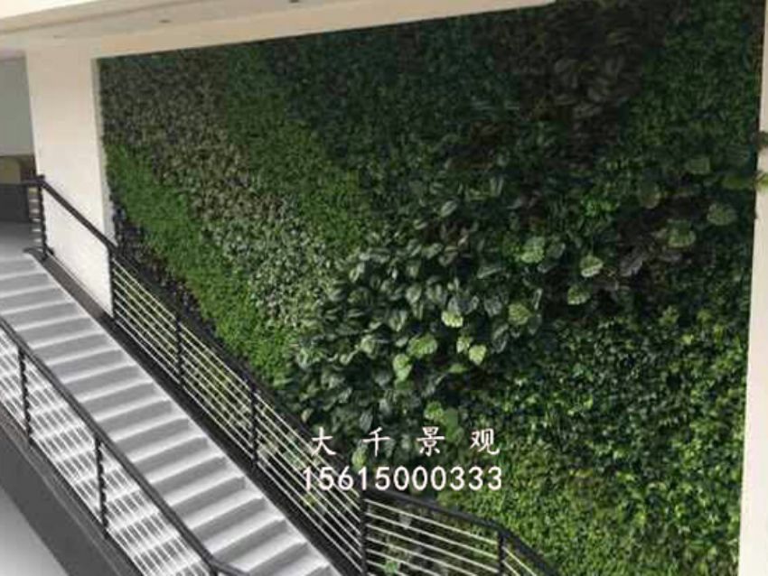 點擊查看詳細信息<br>標題：綠植墻 閱讀次數(shù)：1478