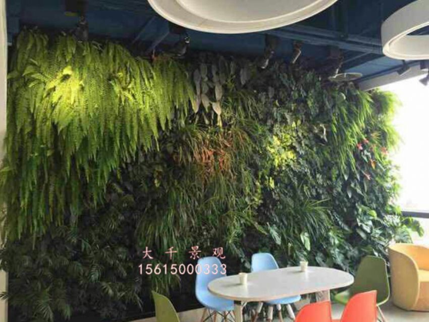 點擊查看詳細(xì)信息<br>標(biāo)題：綠植墻 閱讀次數(shù)：1710